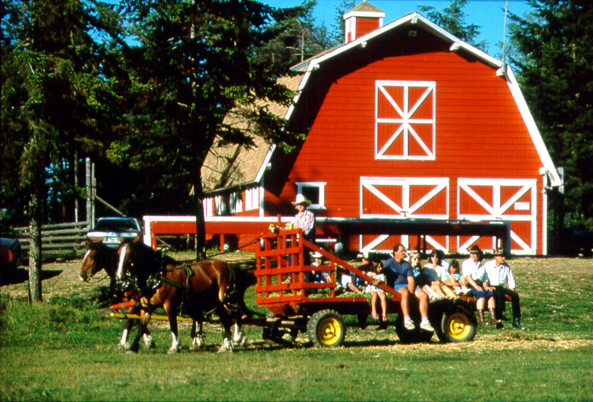 Spruce Hill Resort & Spa 108 Mile Ranch Kültér fotó